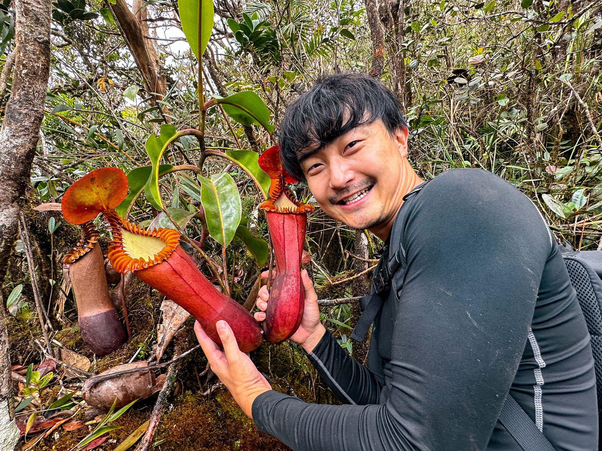 ボルネオの自生地で植物を観察するTHE CORE